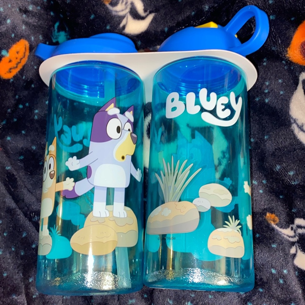 Bluey Zak Tumbler set